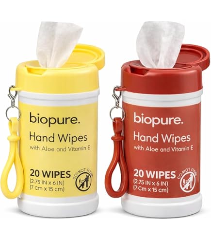 Amazon.com: Wish Hand Wipes Keychain 4 Pack, 20 Wipes Each, Travel